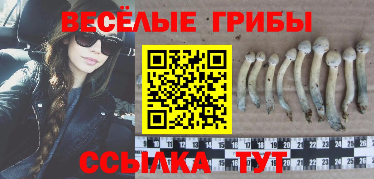 Псилоцибиновые грибы мицелий Надым