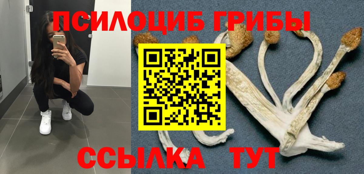 купить наркотик  Вход с VPN  Надым  Галлюциногенные грибы Psilocybe 
