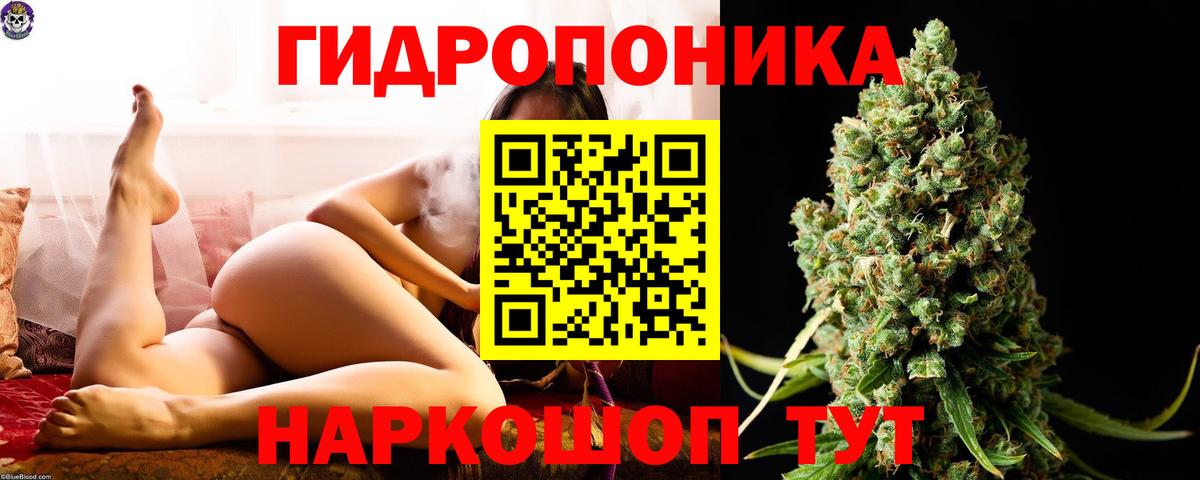 Шишки марихуана Amnesia  Бошки Шишки тримм  Надым  МАРИХУАНА White Widow  Канабис VHQ  Вход с VPN 